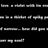 Neruda's Sonnet III: Bitter Love